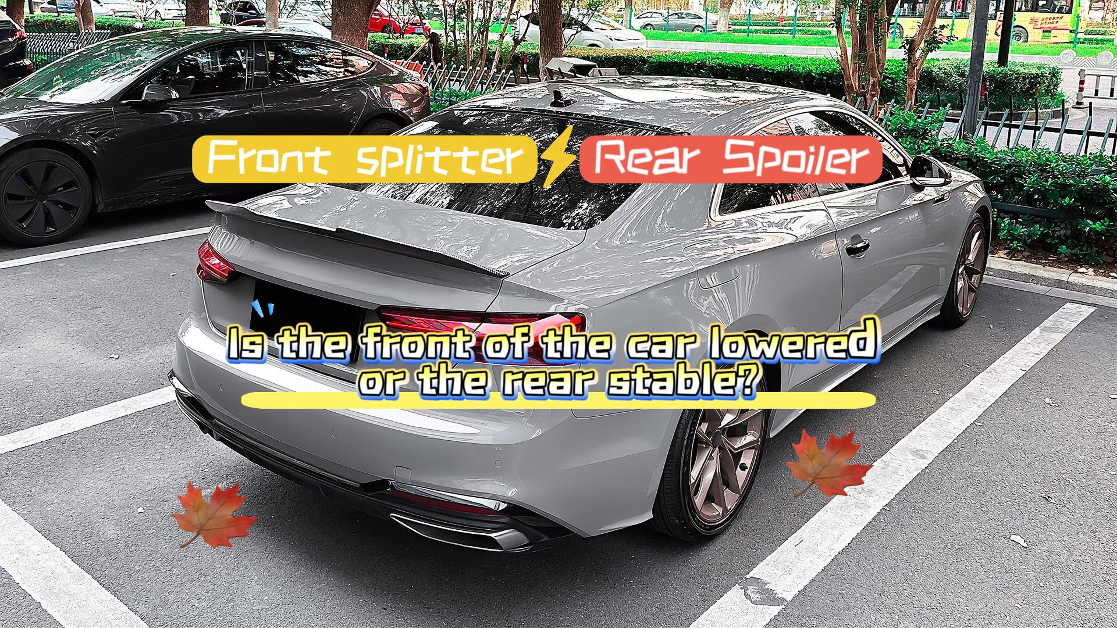 Qual &egrave; la differenza tra lo splitter anteriore e lo spoiler posteriore.jpg